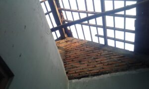 WhatsApp Image 2020-07-16 at 16.51.42