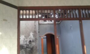 WhatsApp Image 2020-07-16 at 16.51.44 (1)