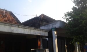 WhatsApp Image 2020-07-16 at 16.51.44